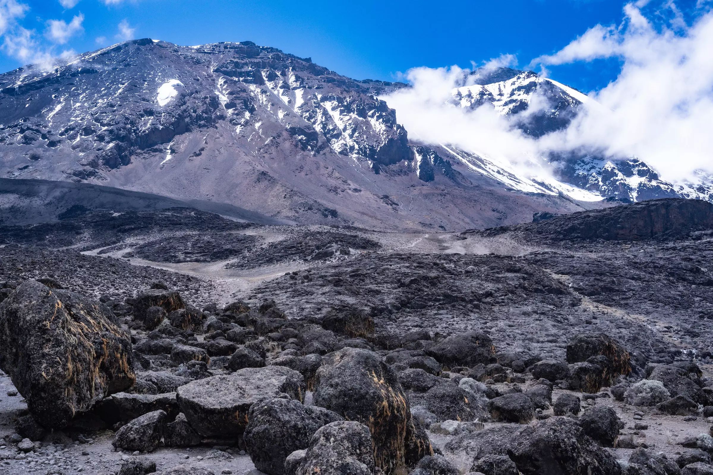 8 Days Mount Kilimanjaro Trekking - Lemosho Route